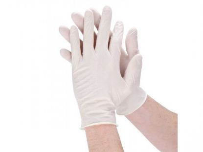 Picture of Gloves Latex Powder Free Malaysian (100pcs)